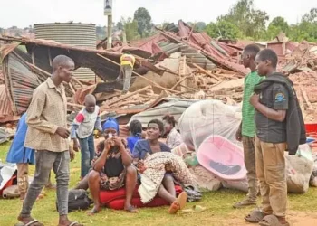 “Tears and Arrests as NEMA Demolishes Homes in Lubigi Wetland Crackdown”