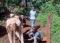 PDM Changes Lives: From Poverty to Prosperity