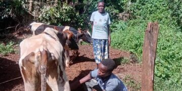 PDM Changes Lives: From Poverty to Prosperity