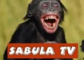 Sabula TV Positions for Growth as Digital Media Transforms Uganda’s News Landscape